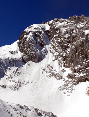 Gosaugletscher 47087 2006-03-20.jpg