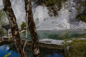 KW Ramsaubach 20-05-09 1761.jpg