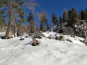 Kehr luser-19-2021-12-22.jpg