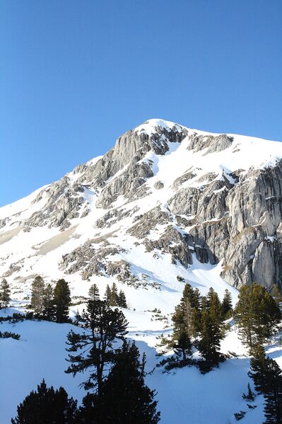 Datei:Kl.grafenberger miesberg-12-2015-02-12.jpg