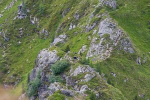 Lärnachscharte-19-19. Juli 2011-5.jpg