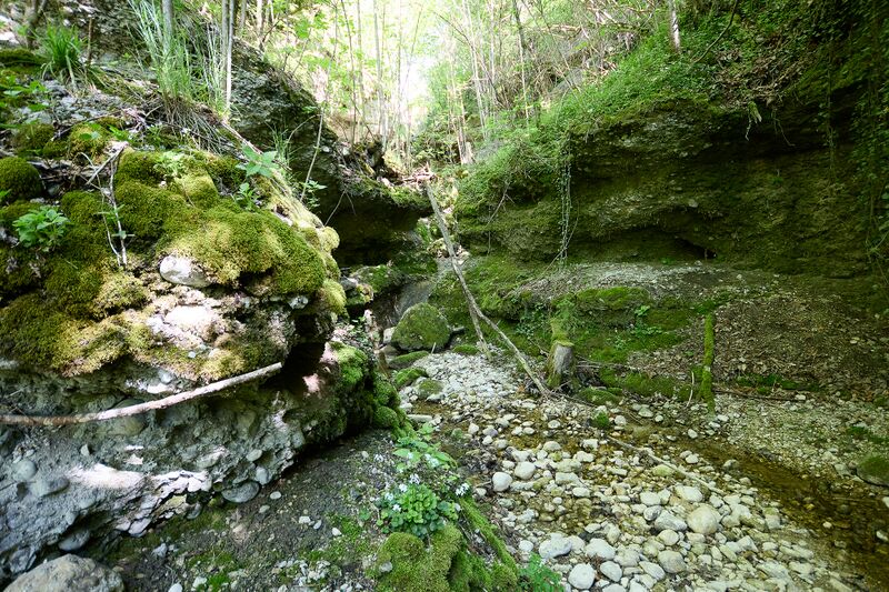 Datei:ND 356 Teichenbach Unterkainisch-0237-2025-05-01.jpg