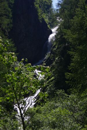 Oberalmbach kleinsölk 4935 13-06-20.jpg