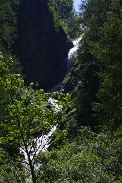 Datei:Oberalmbach kleinsölk 4935 13-06-20.jpg