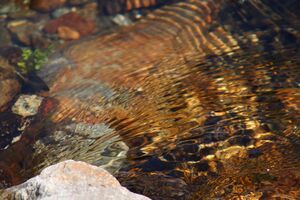 Obertalbach keinprecht 0604 2008-06-01.jpg