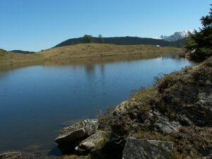 Schobersee 1395 2007-05-19.jpg