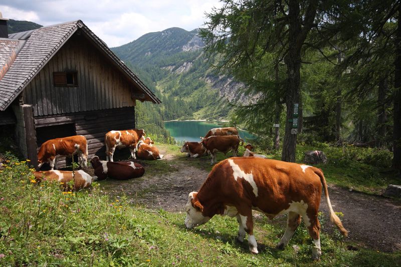 Datei:Steirersee 1634 2011-08-05.jpg