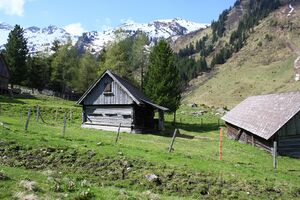 Strickeralm 55523 2014-05-02.jpg