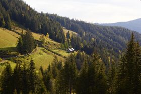 Waidhoflehen-0083-2021-05-24 07.30.52.jpg