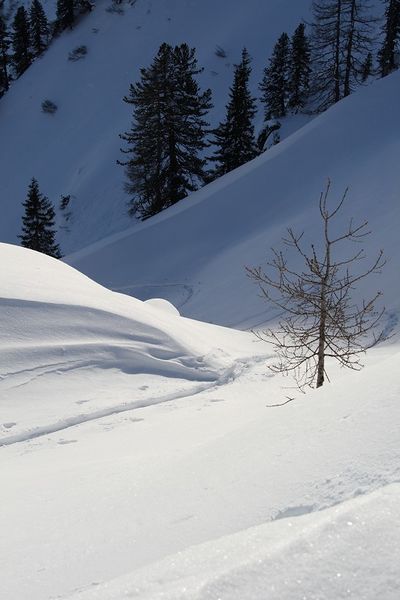 Datei:Wildkar 2721 2007-12-18.jpg