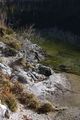 Altausseer See 78922 2014-11-15.jpg