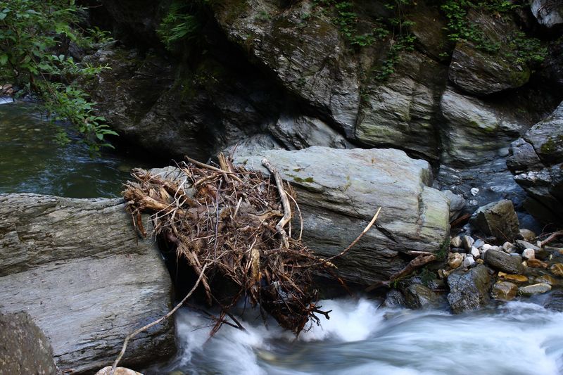 Datei:Donnersbachklamm 72874 2014-06-18.jpg