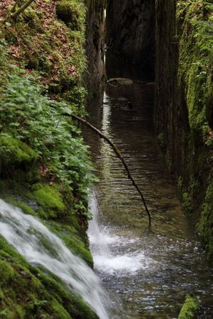 Flößereidurchbruch kammersee 47002 2017-05-17.jpg