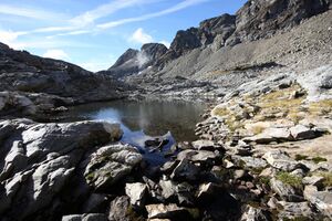 Goldlacken 0260 2013-10-08.jpg