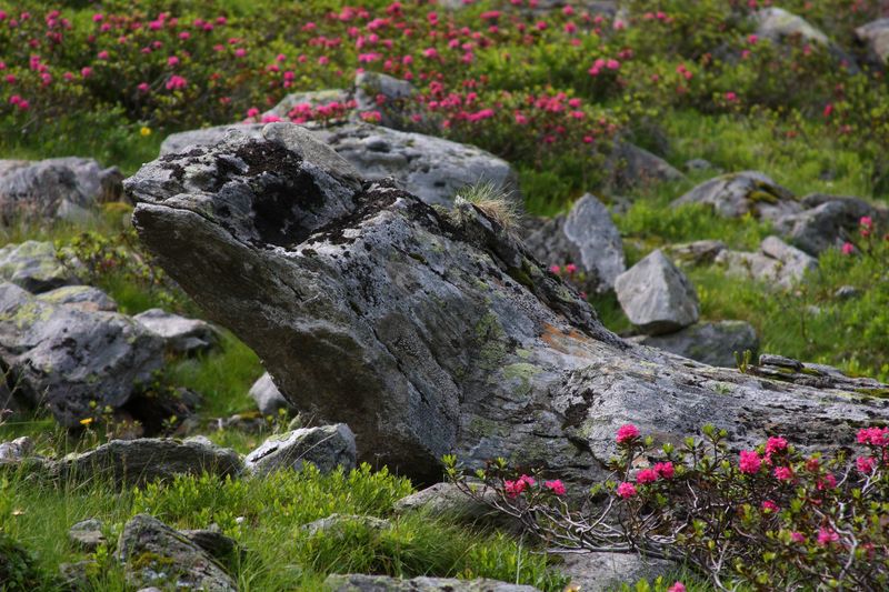 Datei:Herzmaierkar 32468 2011-07-06.jpg