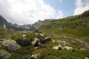 Im wildkar 23626 2008-06-26.jpg