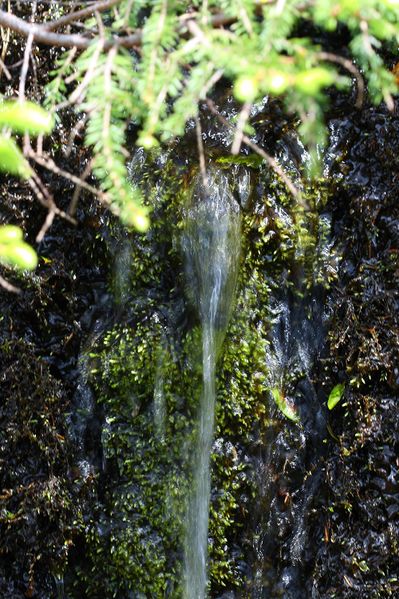 Datei:Im wildkar 23655 2008-06-26.jpg