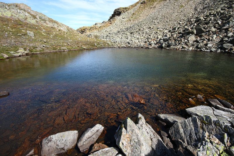 Datei:Nördliche krukecklacke 01695 2015-09-13.jpg