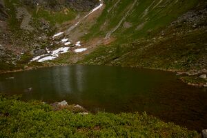 Stegerkarsee-2020-2021-06-21-2.jpg