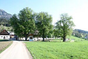 Vlg. schörkmaier gröbming-10-2018-04-25.jpg