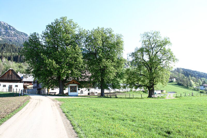 Datei:Vlg. schörkmaier gröbming-10-2018-04-25.jpg