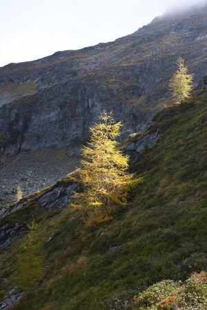 Duisitzkar 76433 2014-10-06.jpg