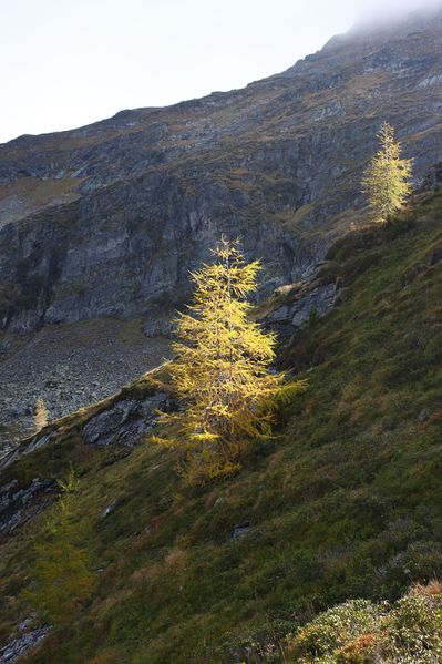 Datei:Duisitzkar 76433 2014-10-06.jpg