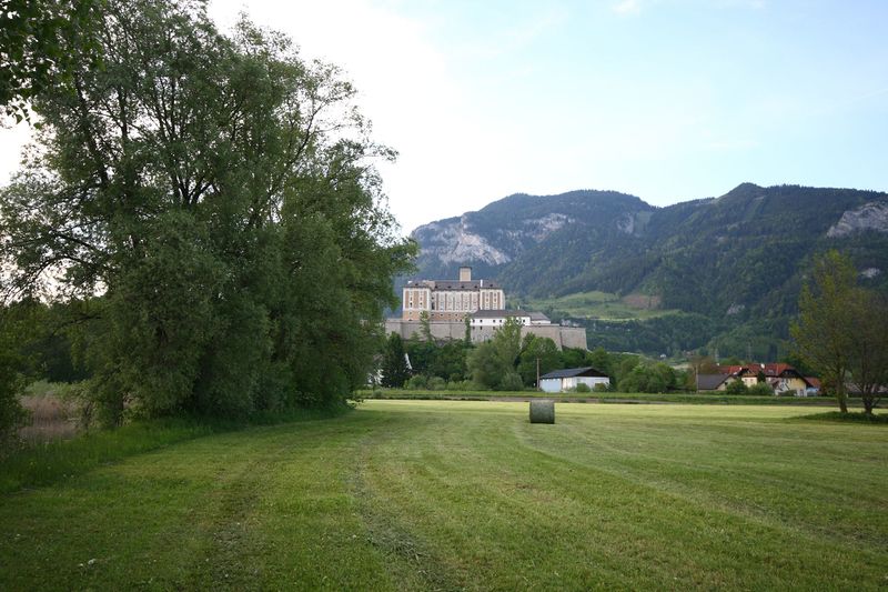 Datei:Enns-Altarme Niederstuttern 58387 2014-05-21.jpg