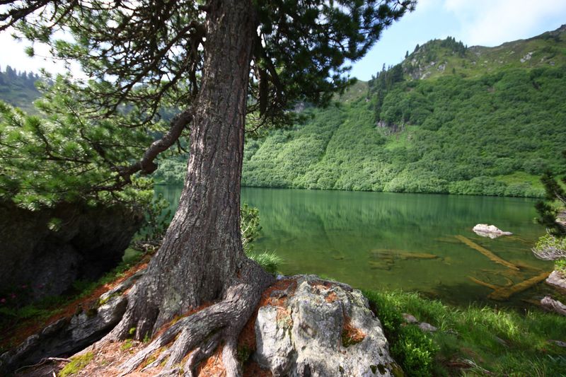 Datei:Finsterkarsee 1167 13-07-12.jpg