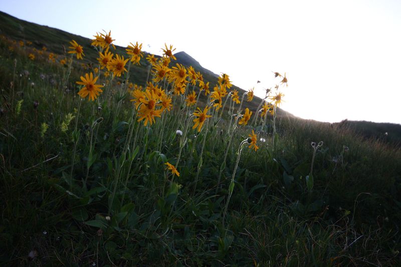 Datei:Glattjoch 1451 13-08-07.jpg