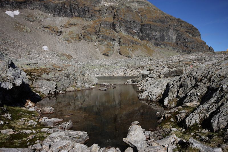 Datei:Goldlacken 0351 2013-10-08.jpg