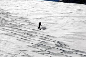 Gosaugletscher 47085 2006-03-20.jpg