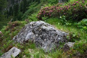 Im Hüttkar 39485 2012-06-29.jpg