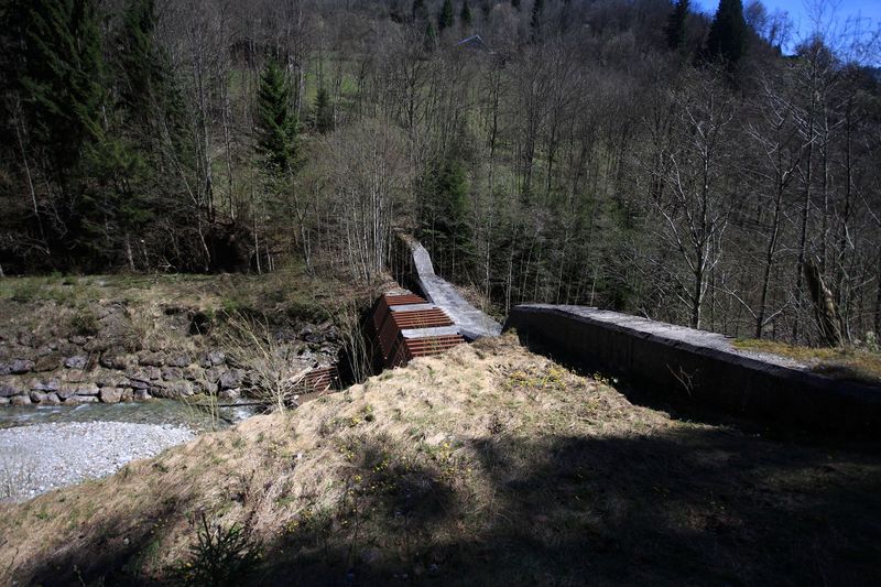 Datei:Kalte mandling008.jpg