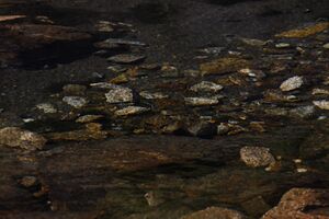 Karlkirchenlacke 99465 2015-08-28.jpg