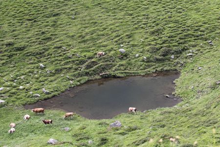 Nördl-see tuchmoarkar 79755 2018-07-04.jpg