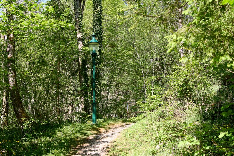 Datei:ND 356 Teichenbach Unterkainisch-0208-2025-05-01.jpg