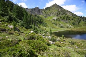 Schobersee 93170 2015-06-26.jpg