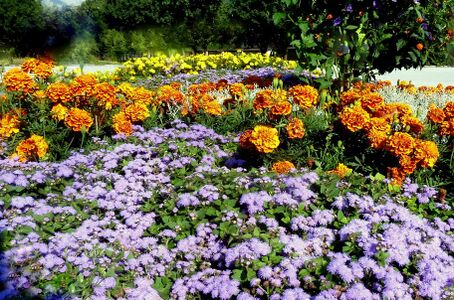 Stiftsgarten Admont01.JPG