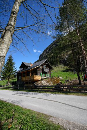 Weiße wandalm 1904-15-2008-05-08.jpg