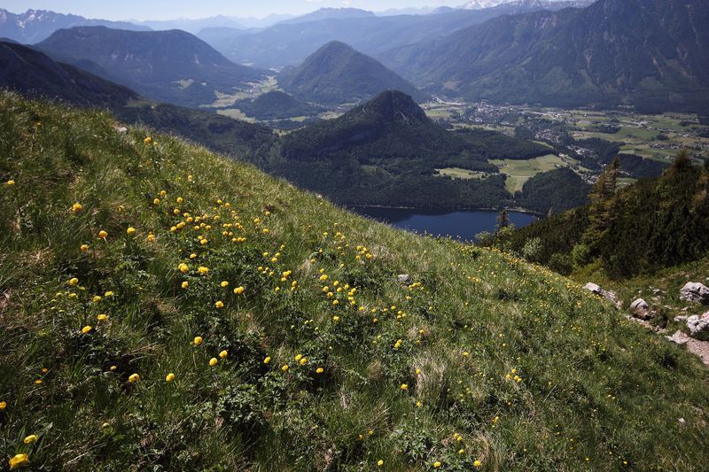 Datei:Altausseersee -graskogel 50749 2017-06-11.jpg