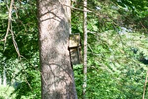 BST Breitauweg kupferbauer-0204-2025-06-18.jpg