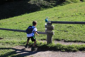 Hopsiland planai-3000-2019-08-09-6.jpg