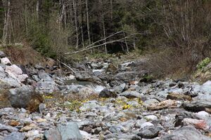 Kalte mandling014.jpg