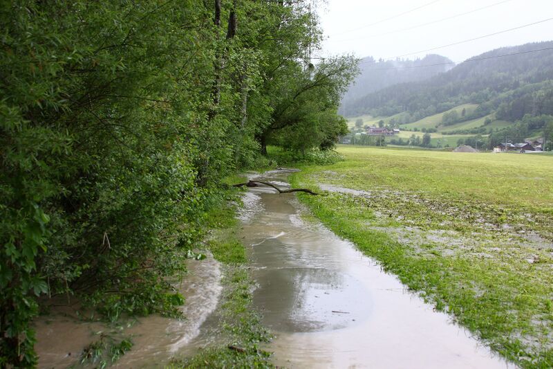 Datei:Lehenbrücke hochwasser 5060 13-06-02.JPG