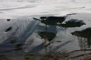 Moaralmsee-höchstein 2485 2009-05-17.jpg