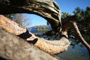 Naturdenkmal 339-1003-2014-11-03-3.jpg