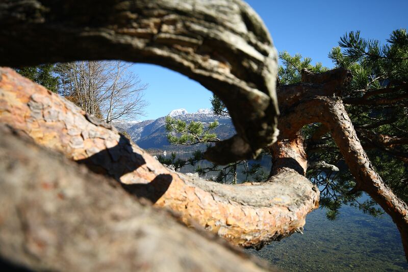 Datei:Naturdenkmal 339-1003-2014-11-03-3.jpg