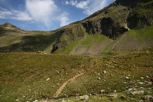 Oberer lanschitzsee 98078 2011-08-12.jpg