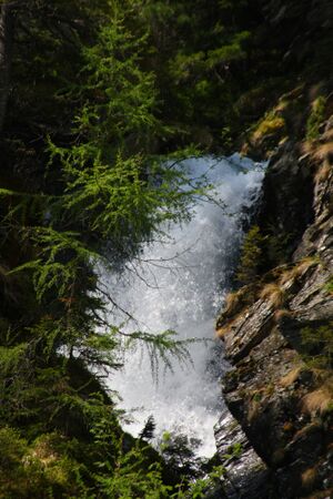Obertalbach keinprecht 0622 2008-06-01.jpg